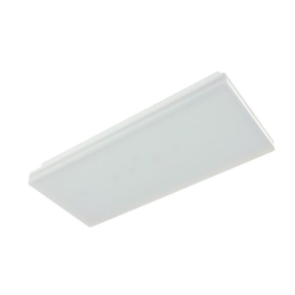 LUMINARIA DE EMERGENCIA XENA 6 FLAT LED WIR.(ZDW)150lm P/NP 1h AUTON.