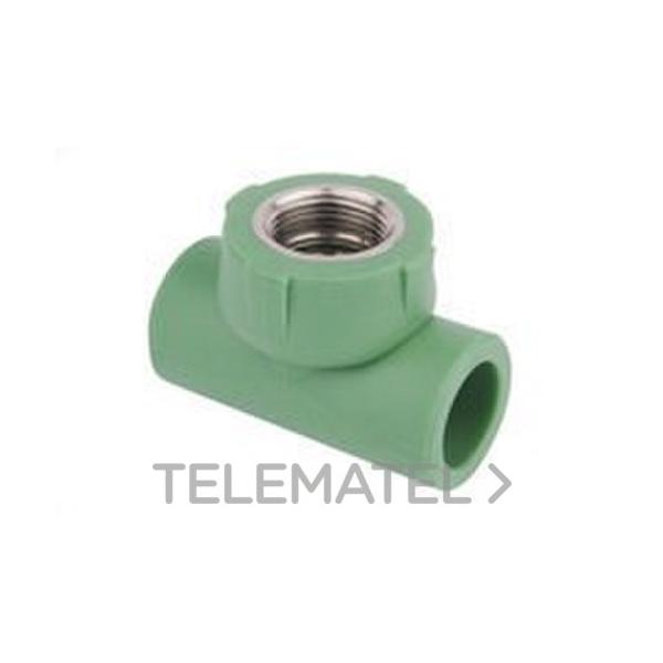 TE ROSCA H PPR 20-1/2"