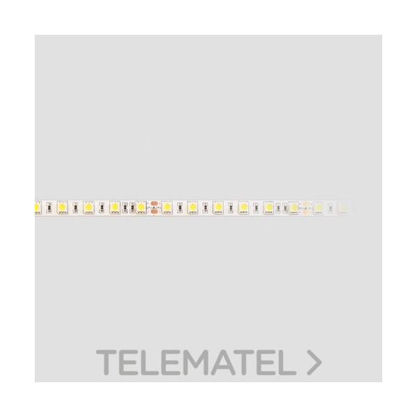 TIRA LED ECO STRIP 5050SMD 6000K 24V IP20 14,4W/m 60led/m 5m