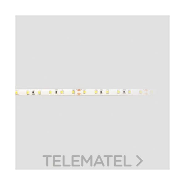 TIRA LED TOP STRIP 2835SMD 12W/m 5500K IP65 60led/m 5m